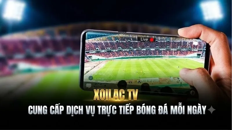 Cẩm nang trải nghiệm và theo dõi thể thao hiệu quả năm 2026